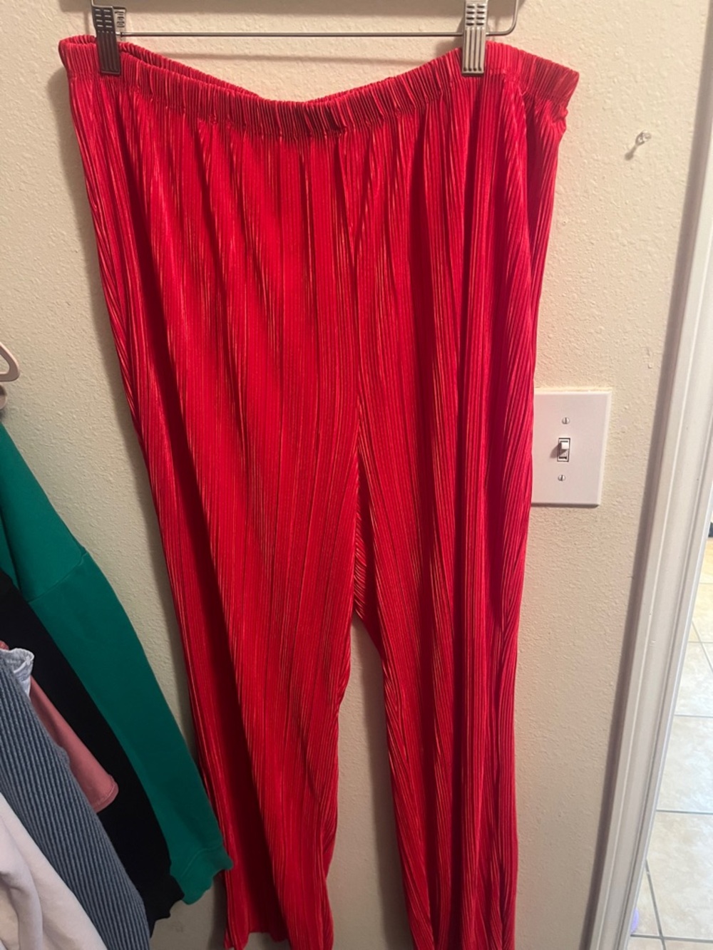 Red Pleated Wide Leg Pants